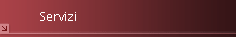 Servizi